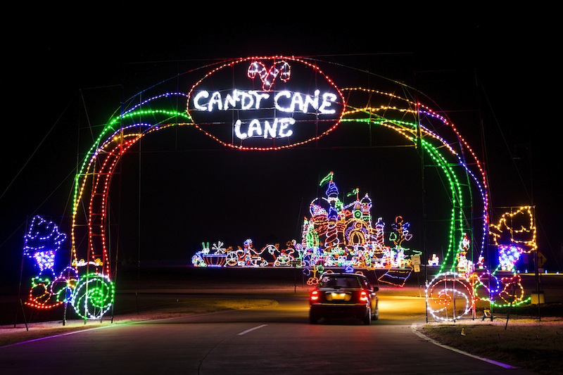 holiday lights for trees