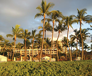 palm trees and a hotel in maui