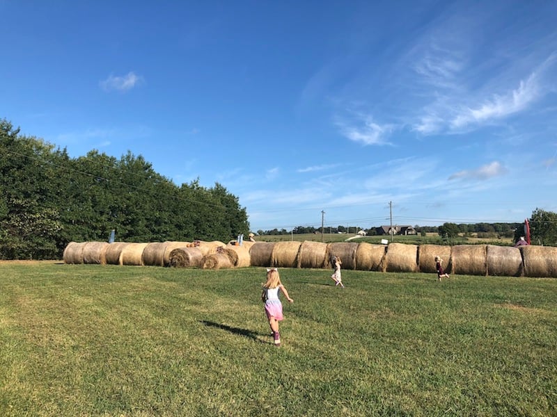 a field of hay bales at shepherd's cross pumpkin festival