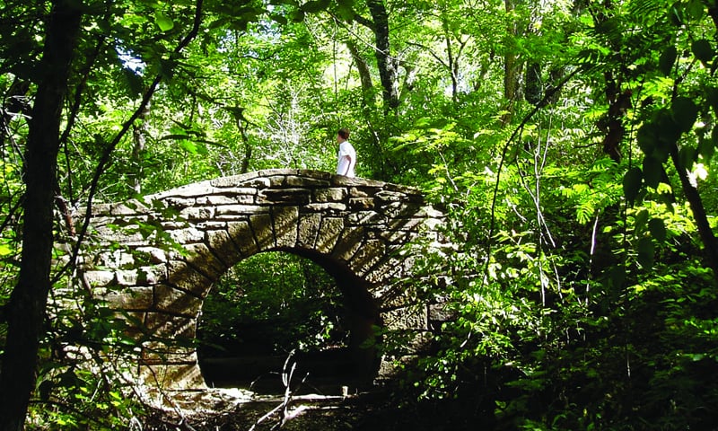 bridge in a forest, for a list of places to go hiking and camping in oklahoma
