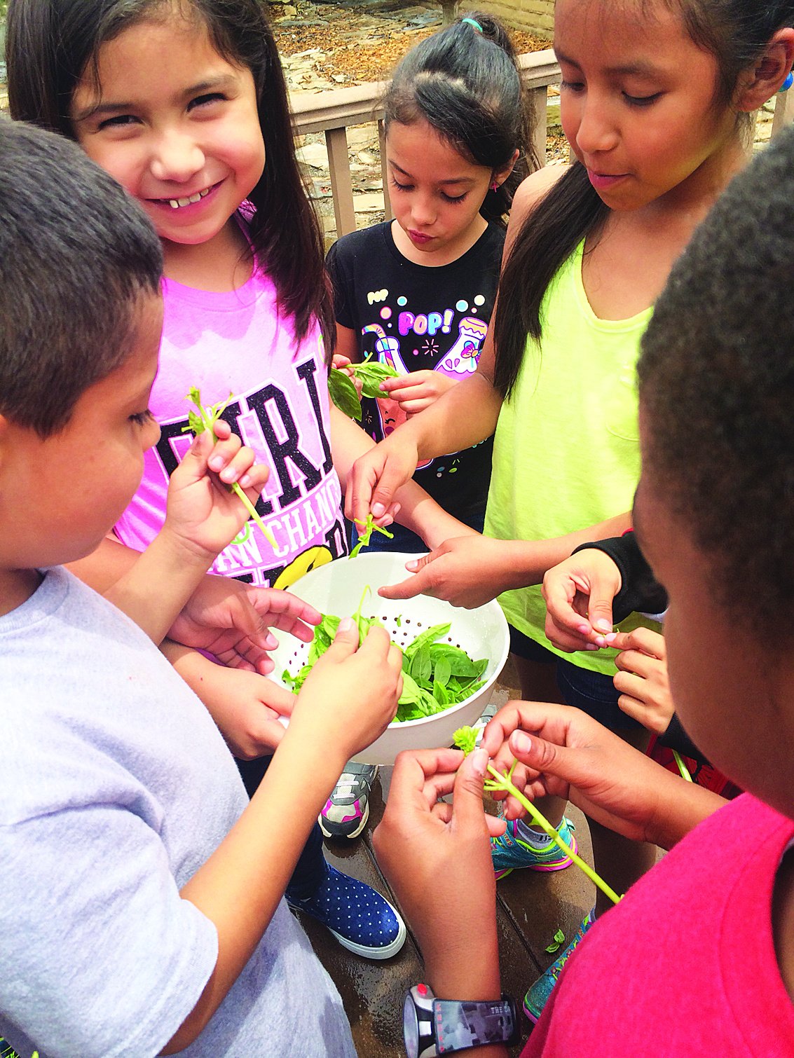 Global Gardens Helps Kids Discover Vegetables - TulsaKids Magazine