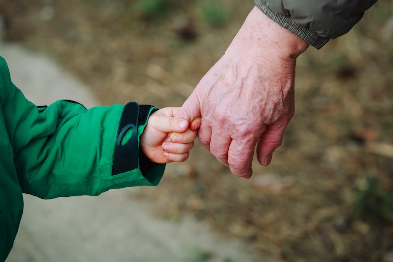 grandparenting through divorce concept, young child's hand holds an older hand