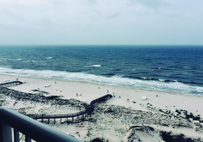 a look at the beach in gulf shores