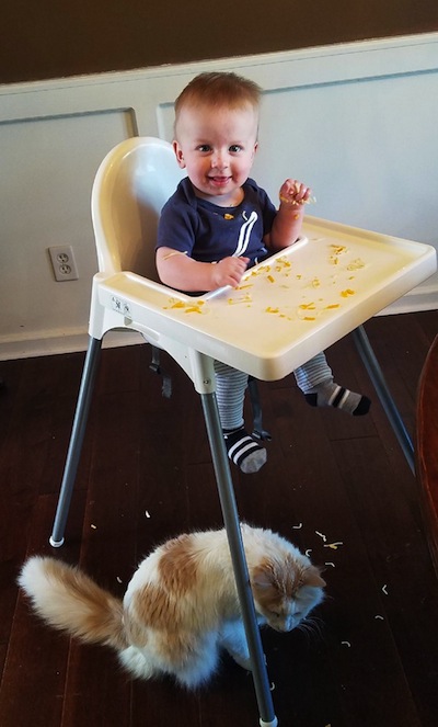 What Is Baby-Led Weaning? - TulsaKids Magazine