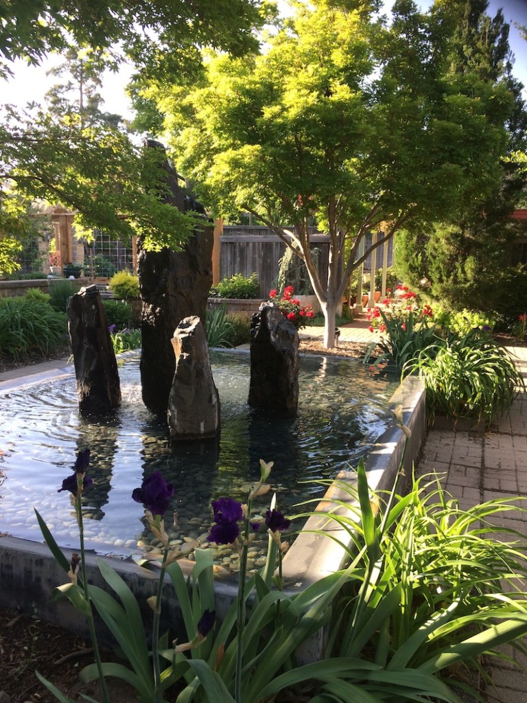 fountains at linnaeus teaching garden
