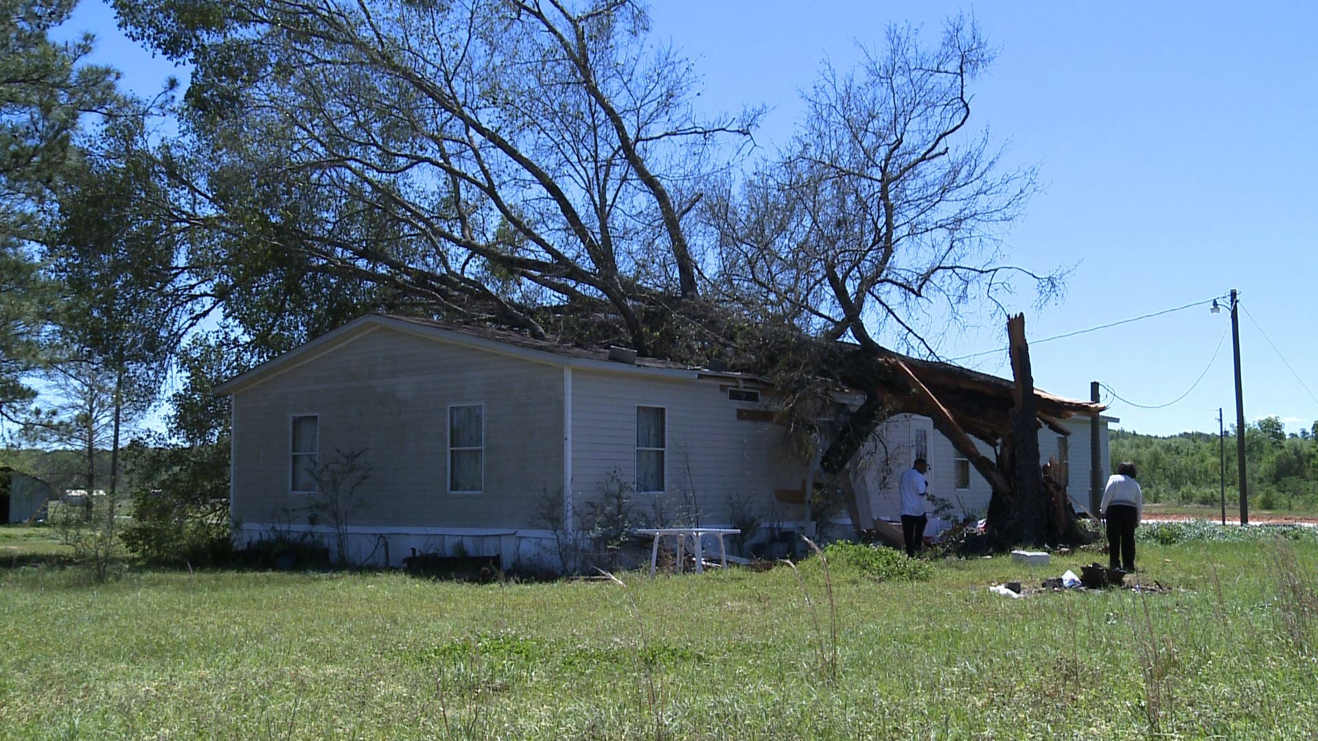 Fallen Tree Causes Major Damage in Yellow Bluff - WAKA 8