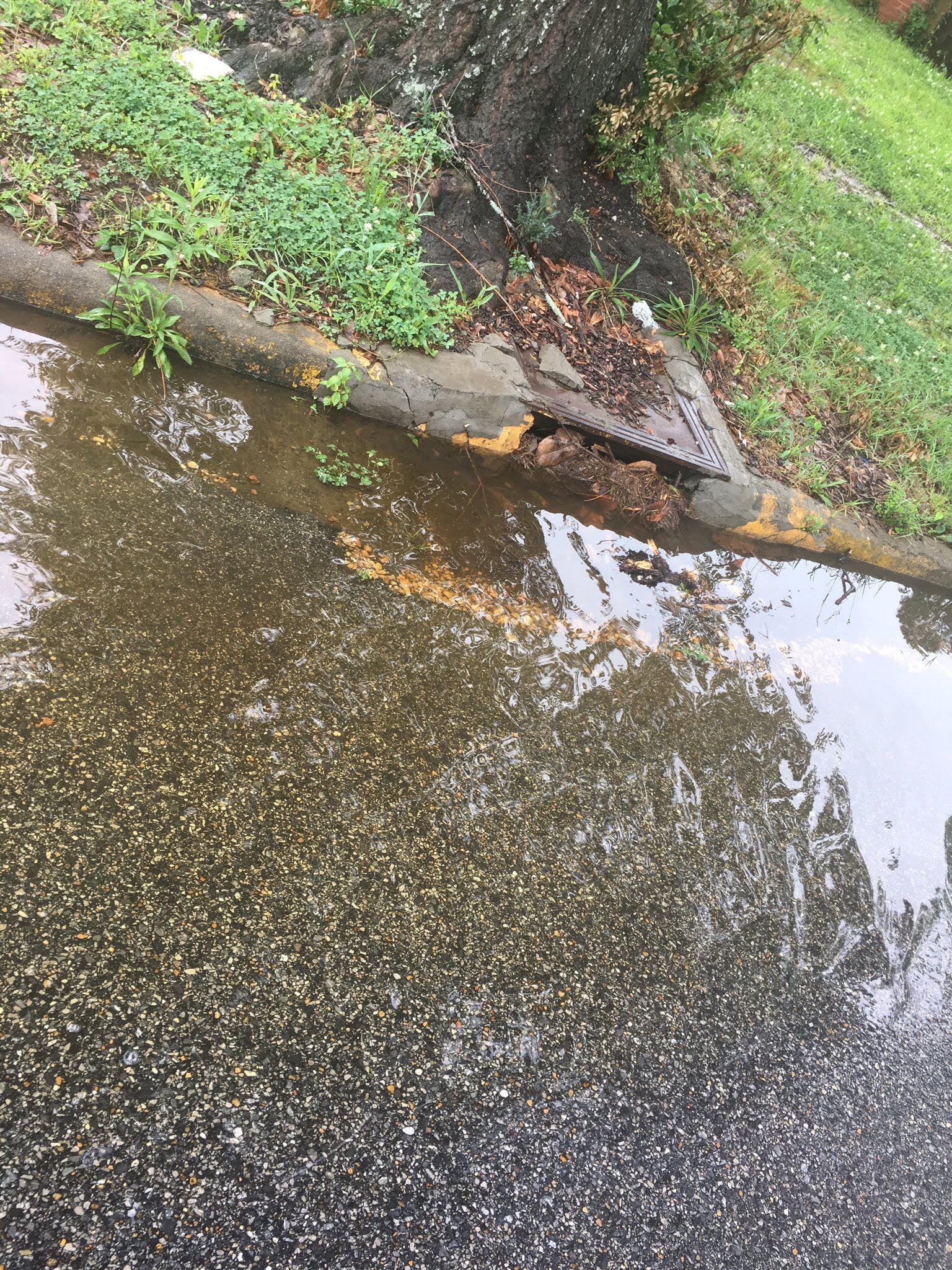 Clogged Storm Drains In Montgomery After Heavy Rain - WAKA 8