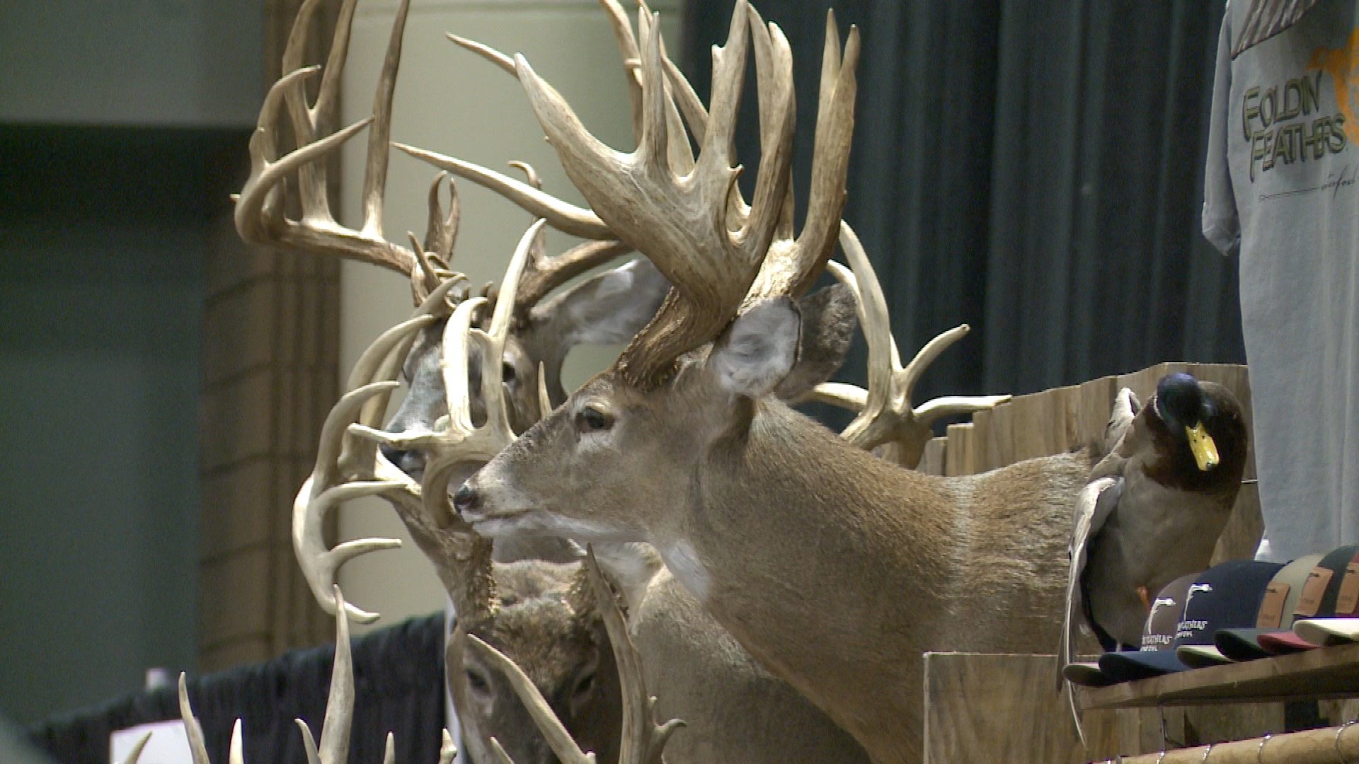 Buckmasters Expo Day 2 WAKA 8