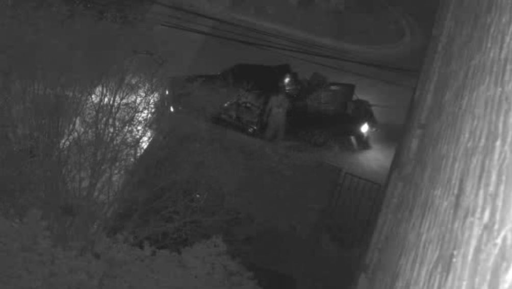 Suspect & Vehicle 003