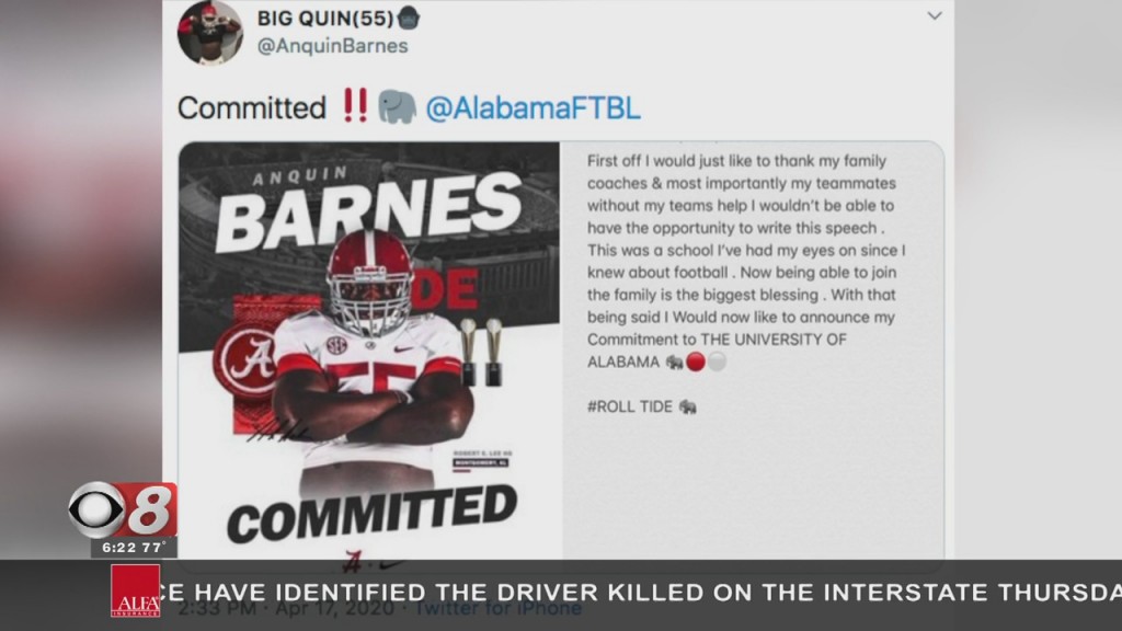 Barnes Bama