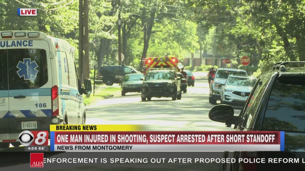 Silver Lane Shooting