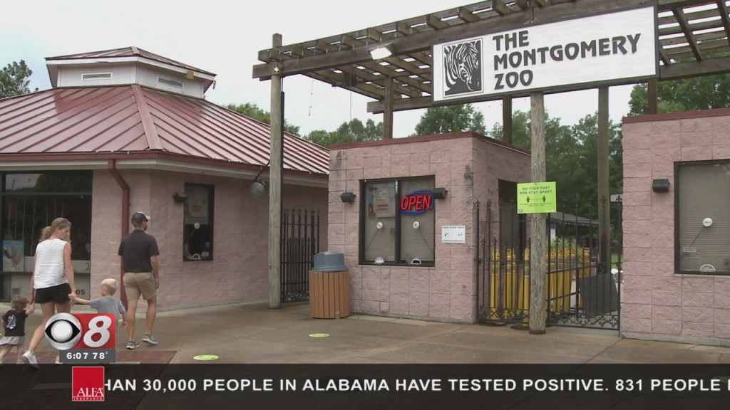 Montgomery Zoo Update
