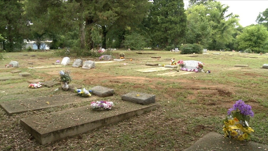Wal Cemeterycleanup Fox Pkg