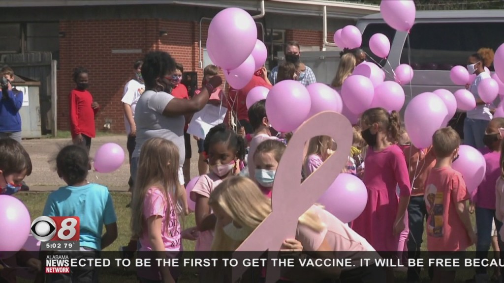 Wal Breast Cancer