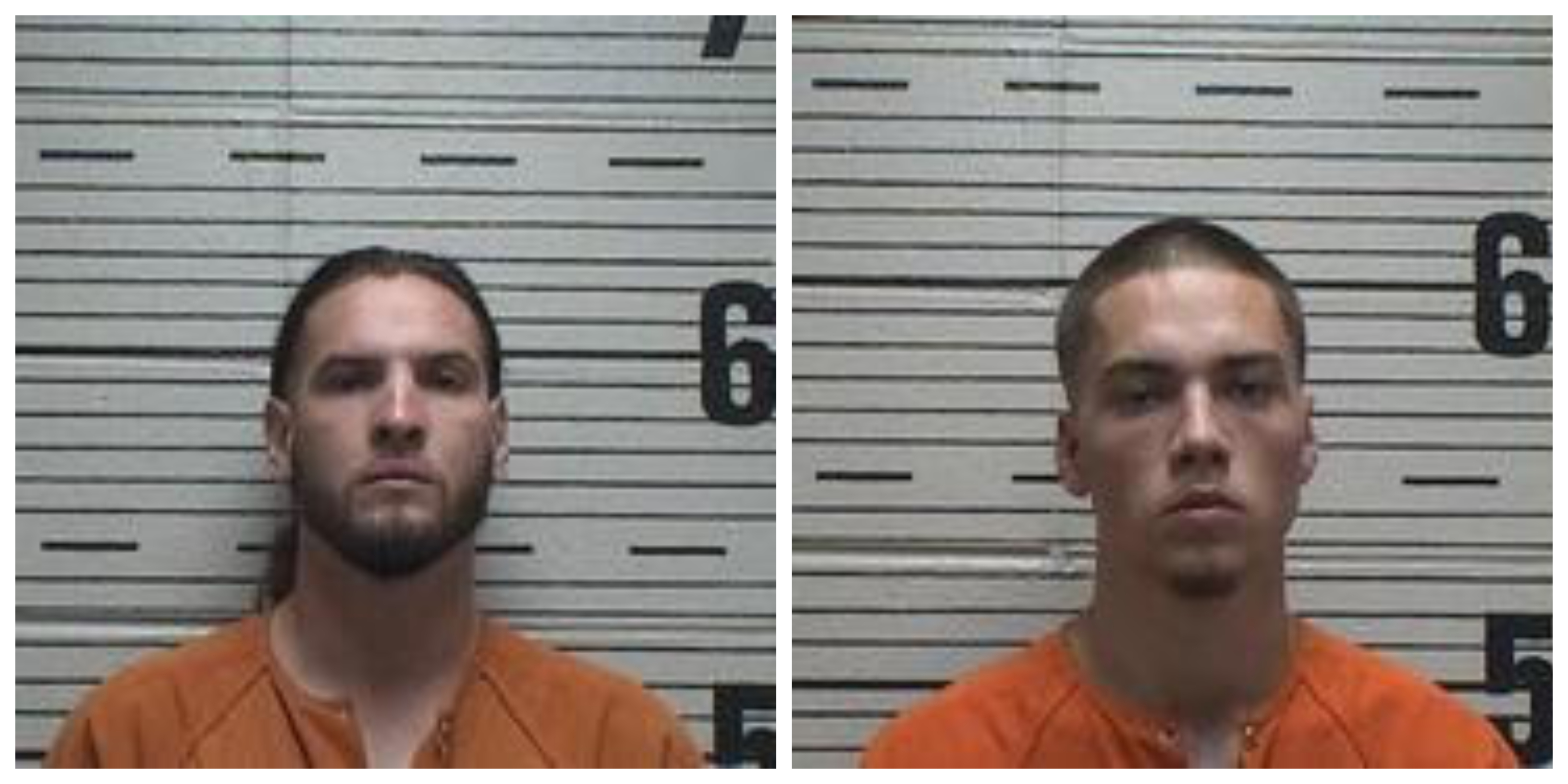Fwlbv/Quad Cities Paper Florence Alabama Mugshots.Html - k6gqsd7