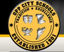 Oppcityschools