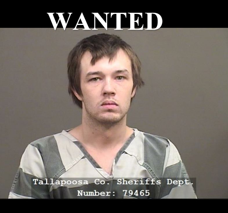 Wanted Ashley Kenney