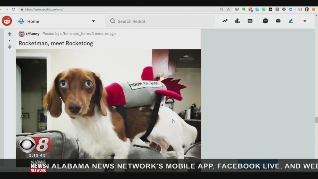 Wtt What Is Reddit 020221