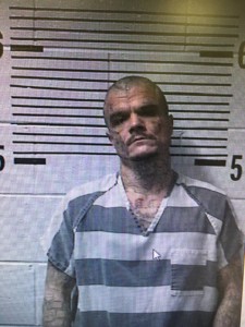 Img 2163 E1535991605731 225x300