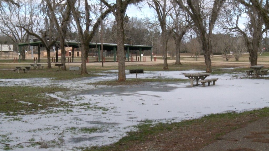 Wal Dallasemawx Fox Pkg