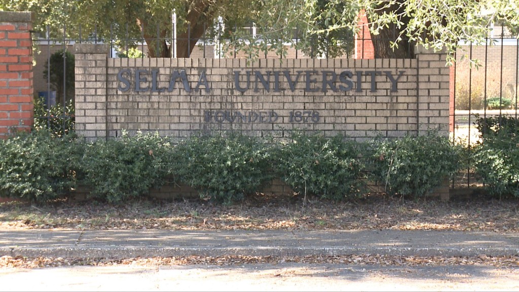 Wal Selmainterim Mini