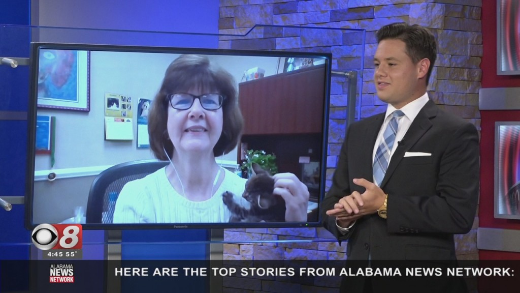 Humane Society Interview