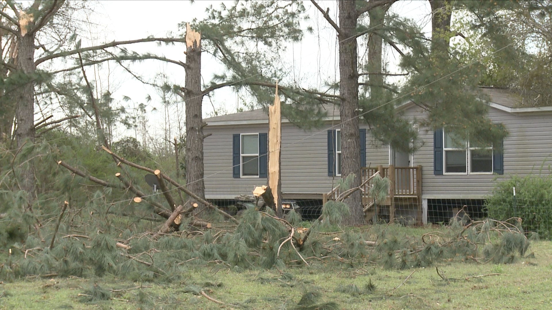 Storms Cause Extensive Property Damage in Dallas Co. - WAKA 8