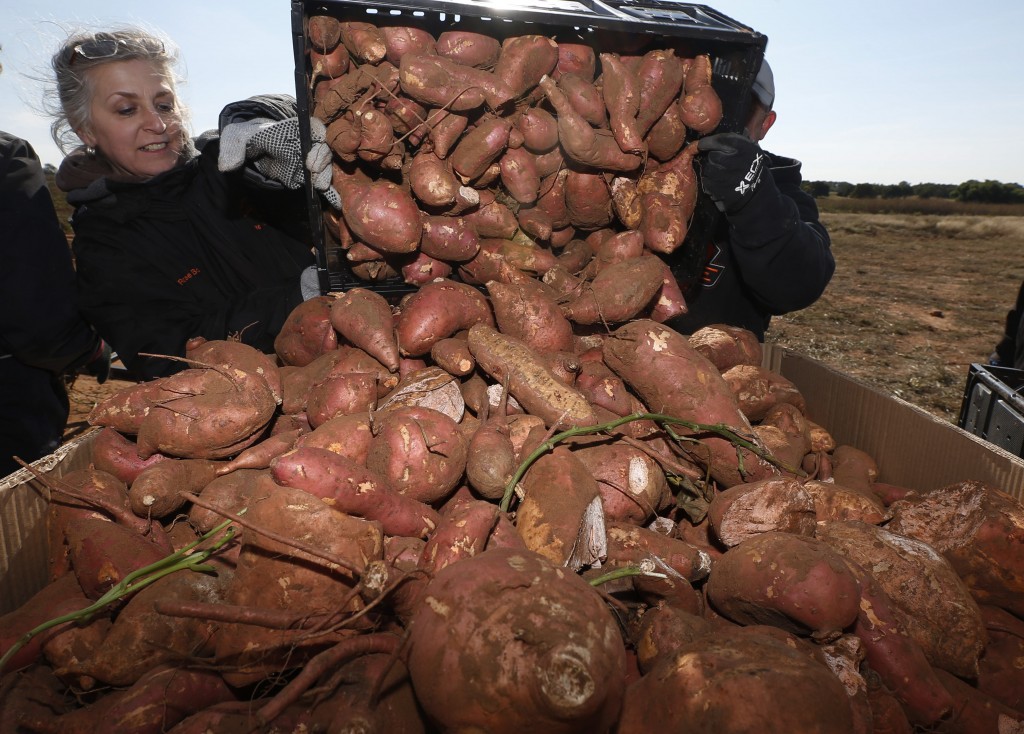 Rose Bonjour, Jim Flasher