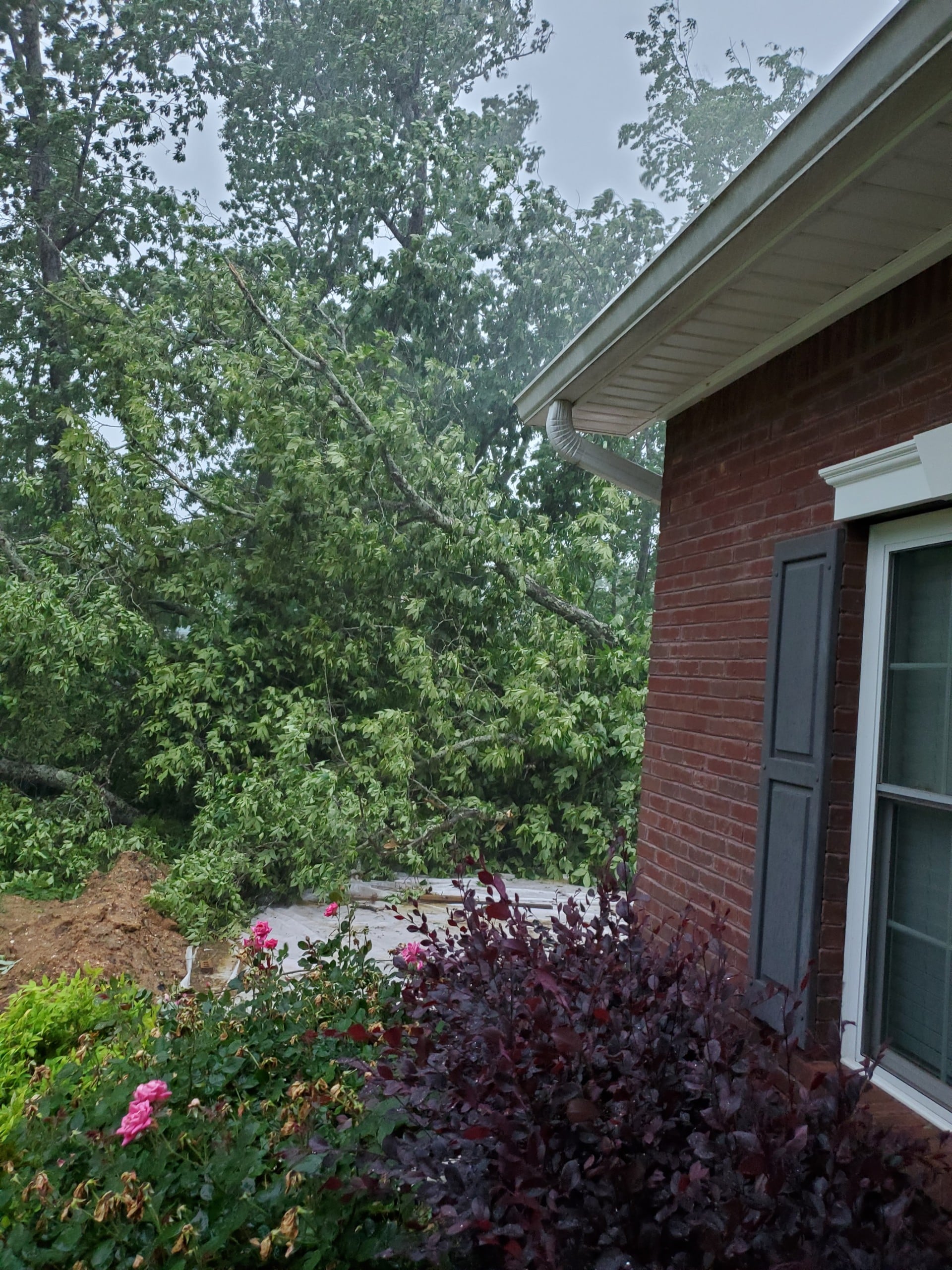 PHOTOS: Storm Damage in Camden - WAKA 8