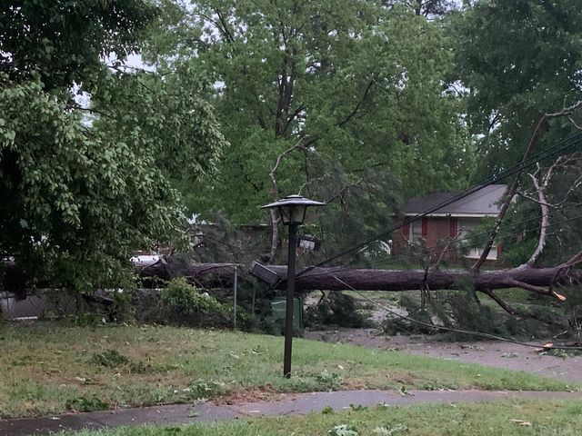 181711664 5493967117311007 487074326681446826 N