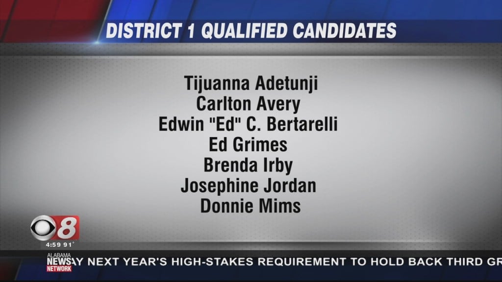 District 1 Special Election