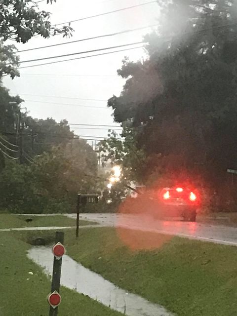 181543312 460980001862783 4376115043261841814 N 1