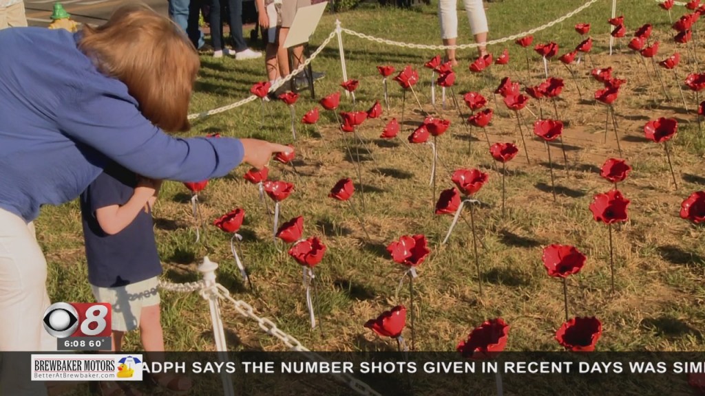 Alabama Poppy Project