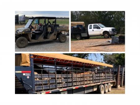 463bbe95f5e9958e2f4c1b03659dc20f Collage4 450