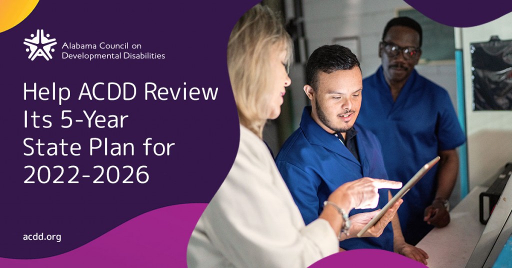 Acdd 5 Year Plan Graphic