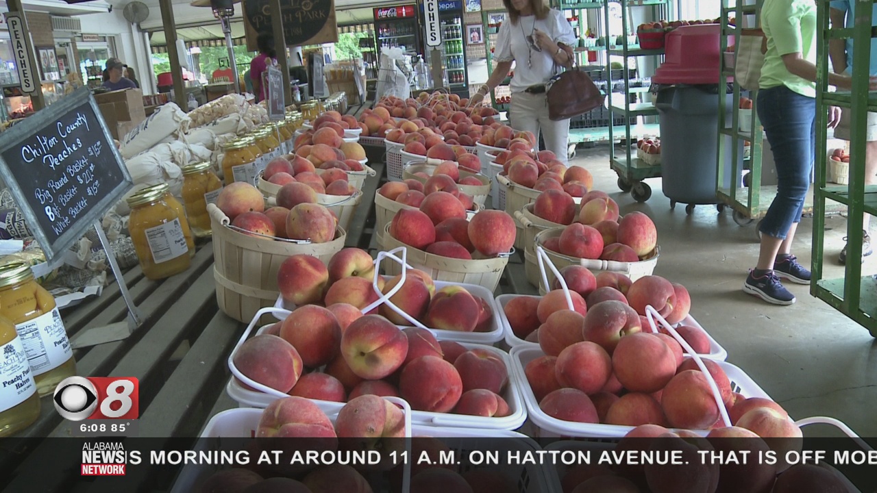 Community Recognizes Peach Farmers In Annual Chilton County Peach Week