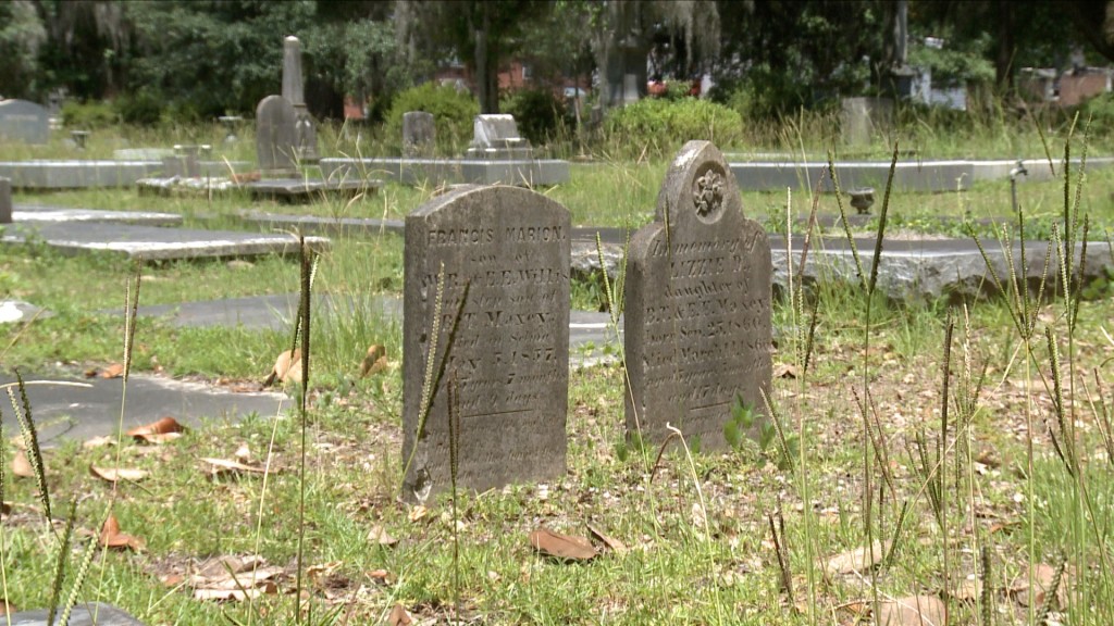 Wal Oldliveoakgrass Fox Pkg