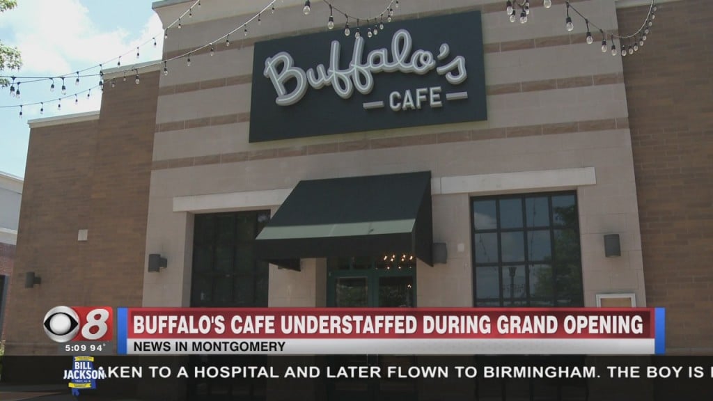 Buffalos Open At Eastchase