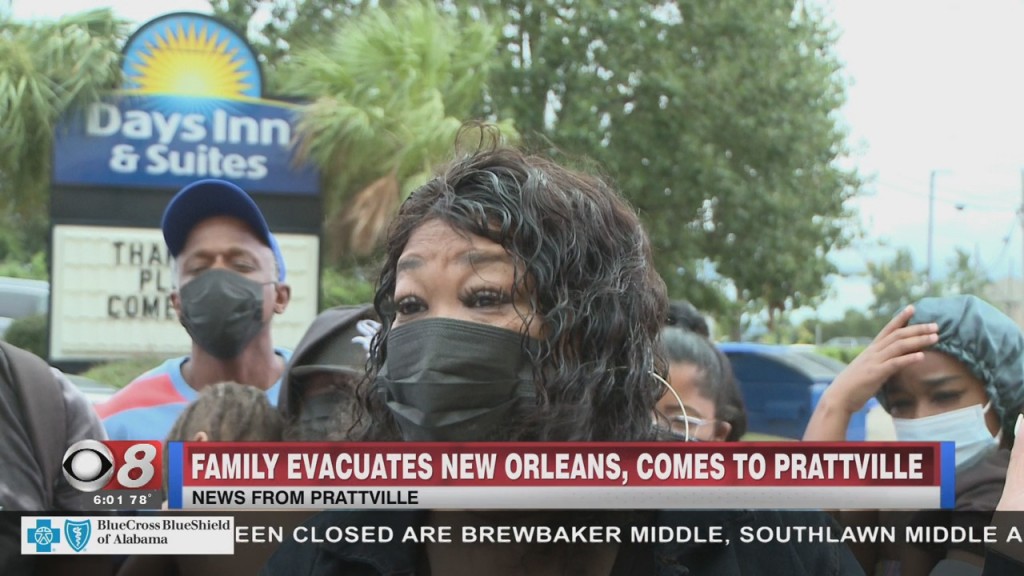 Nolaevacuee