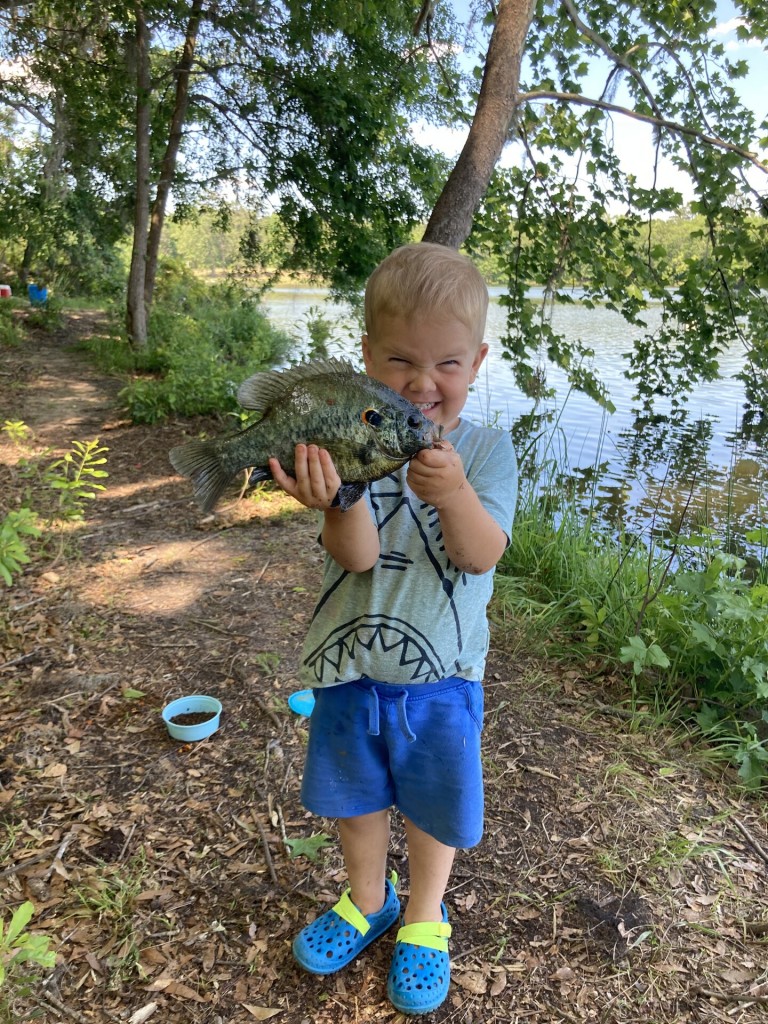 Best Fish 2021 Spur Knight
