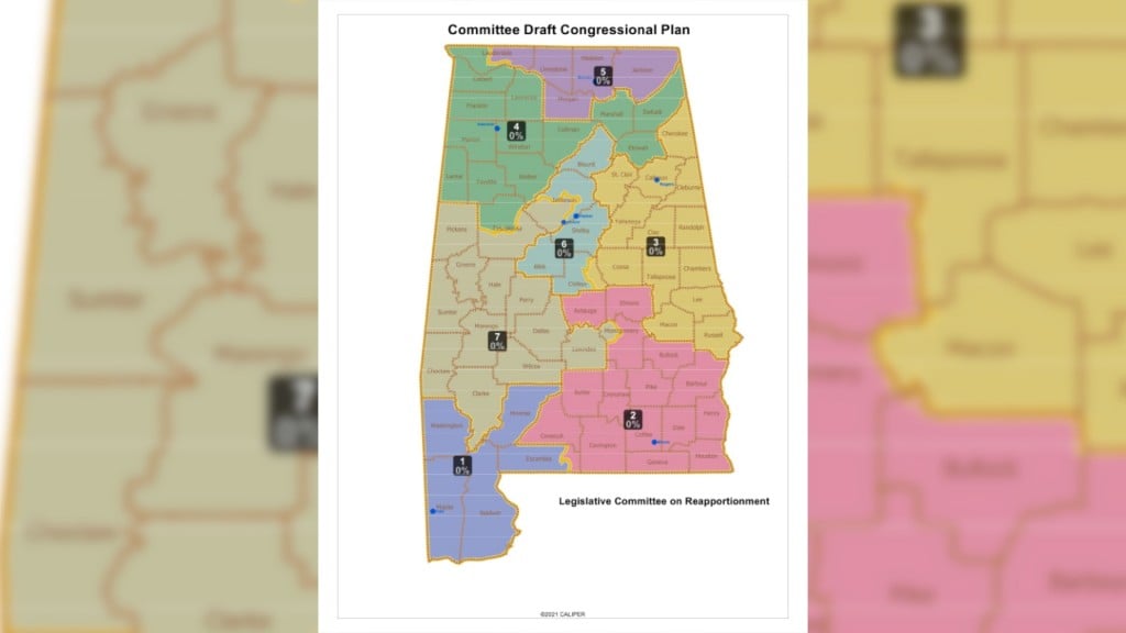 Redistrictsession Pic