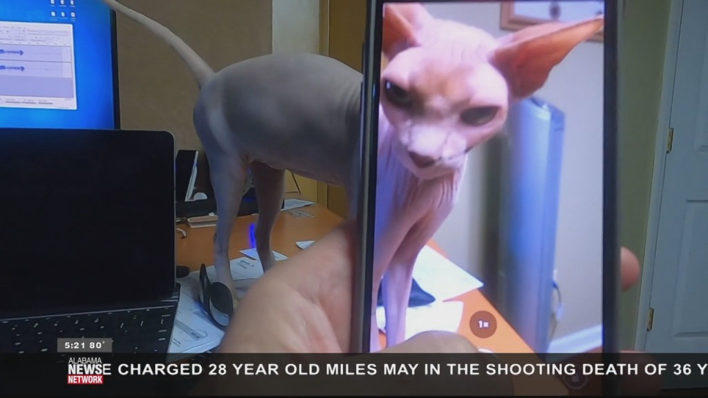 Wtt Iphone Video Recording 101421