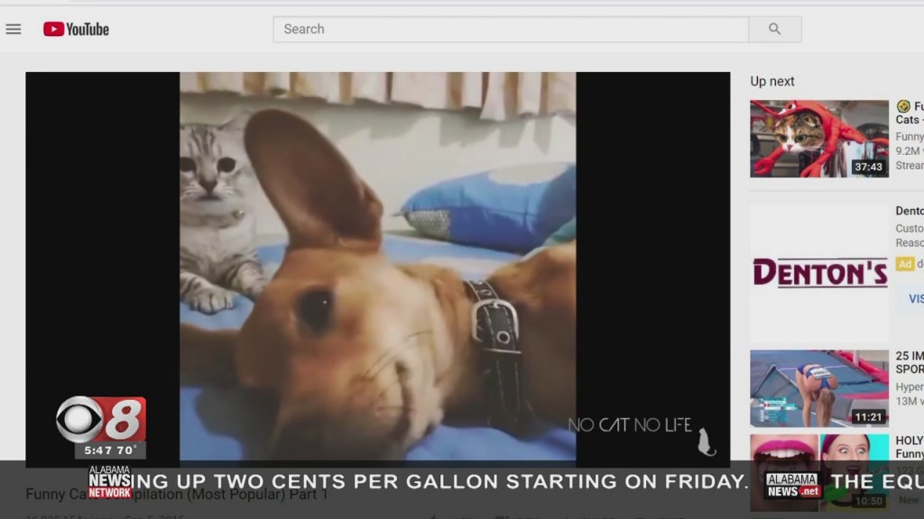 Wtt Monitoring At Home Workers 092921