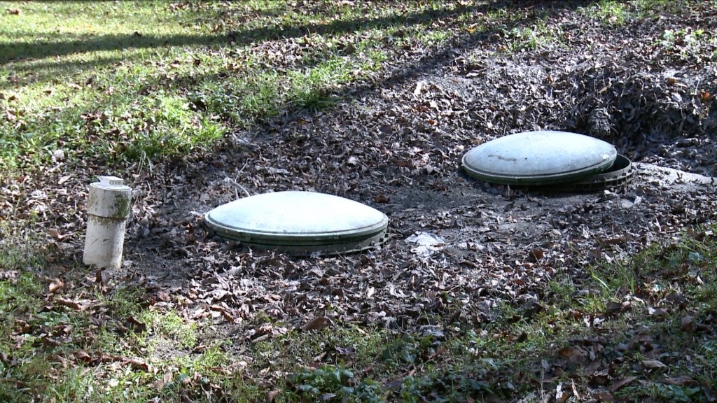 Wal Dojlowndesfolo Fox Pkg