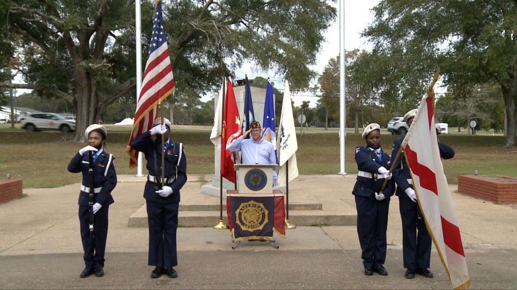 Wal Vetdayselma1111 Pkg