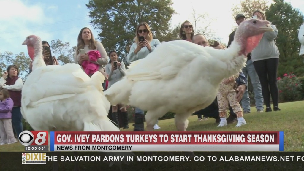 Turkey Pardon 111221