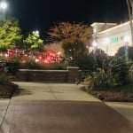 Gas Leak