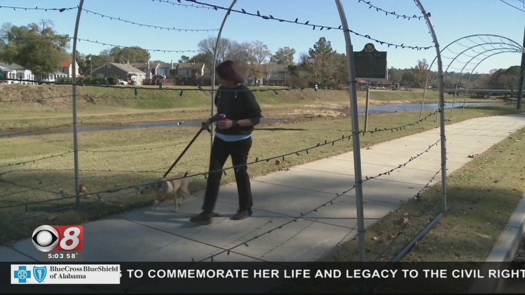 Prattville Vandalism 113021