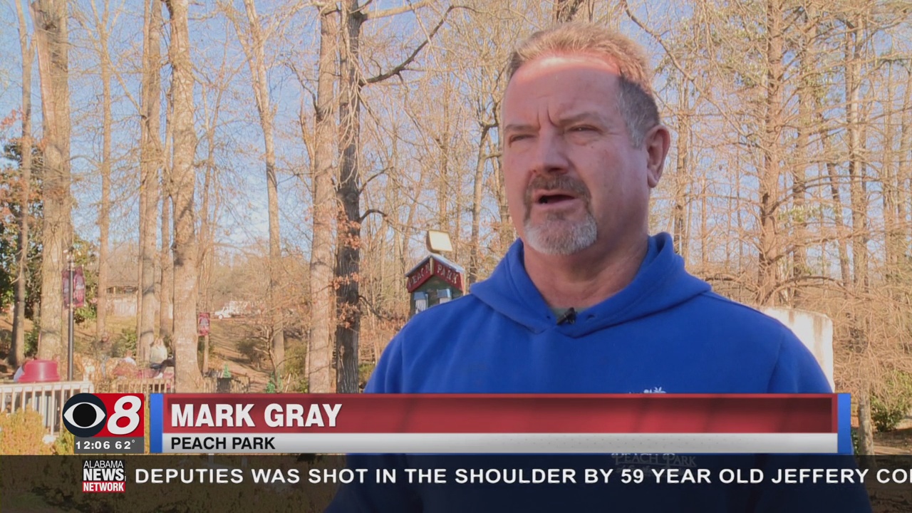 Peach Park Says Peach Crop Is Looking to Get Adequate "Chill Hours