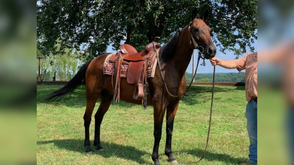 Wal Horsethief0111 Fox Pkg